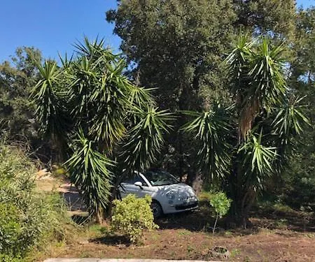 Hameaux De Pietra Nera Villa Porto Vecchio